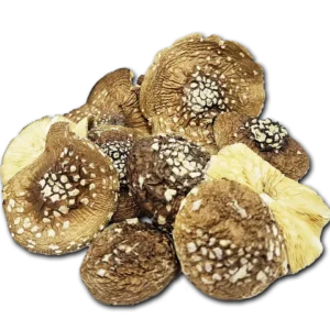 Мухомор Пантерный, шляпки сушенные в вакууме, 50гр